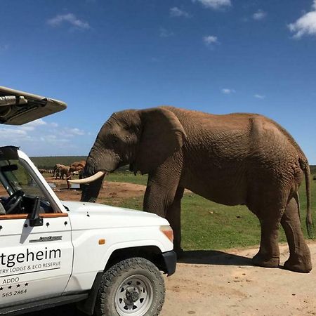 Hitgeheim Country Lodge Addo Dış mekan fotoğraf