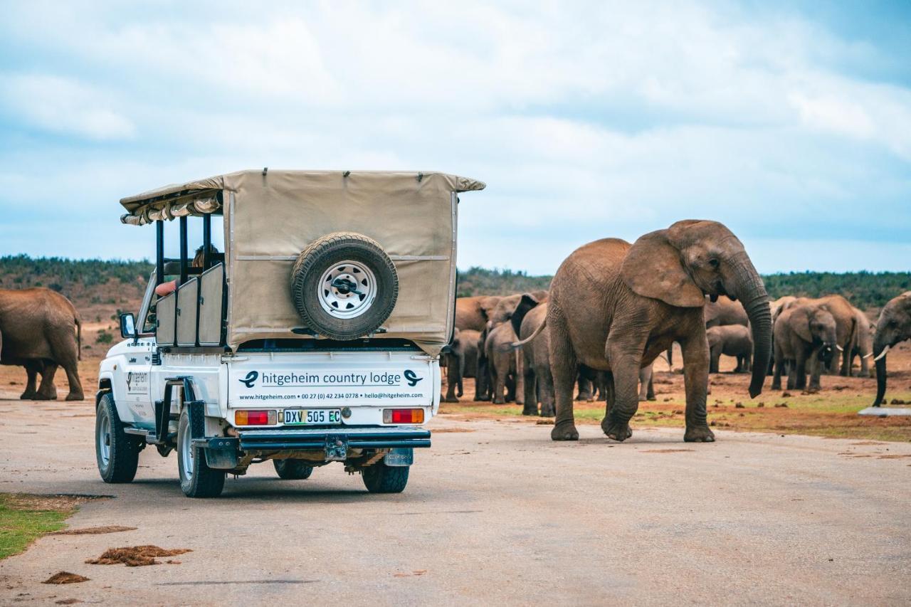 Hitgeheim Country Lodge Addo Dış mekan fotoğraf