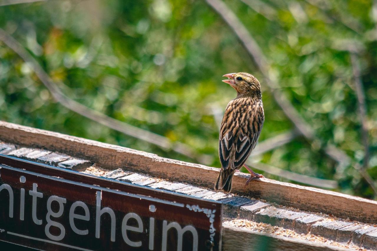 Hitgeheim Country Lodge Addo Dış mekan fotoğraf