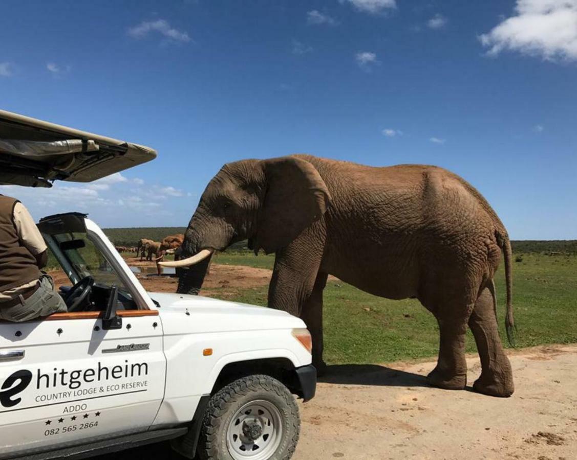 Hitgeheim Country Lodge Addo Dış mekan fotoğraf